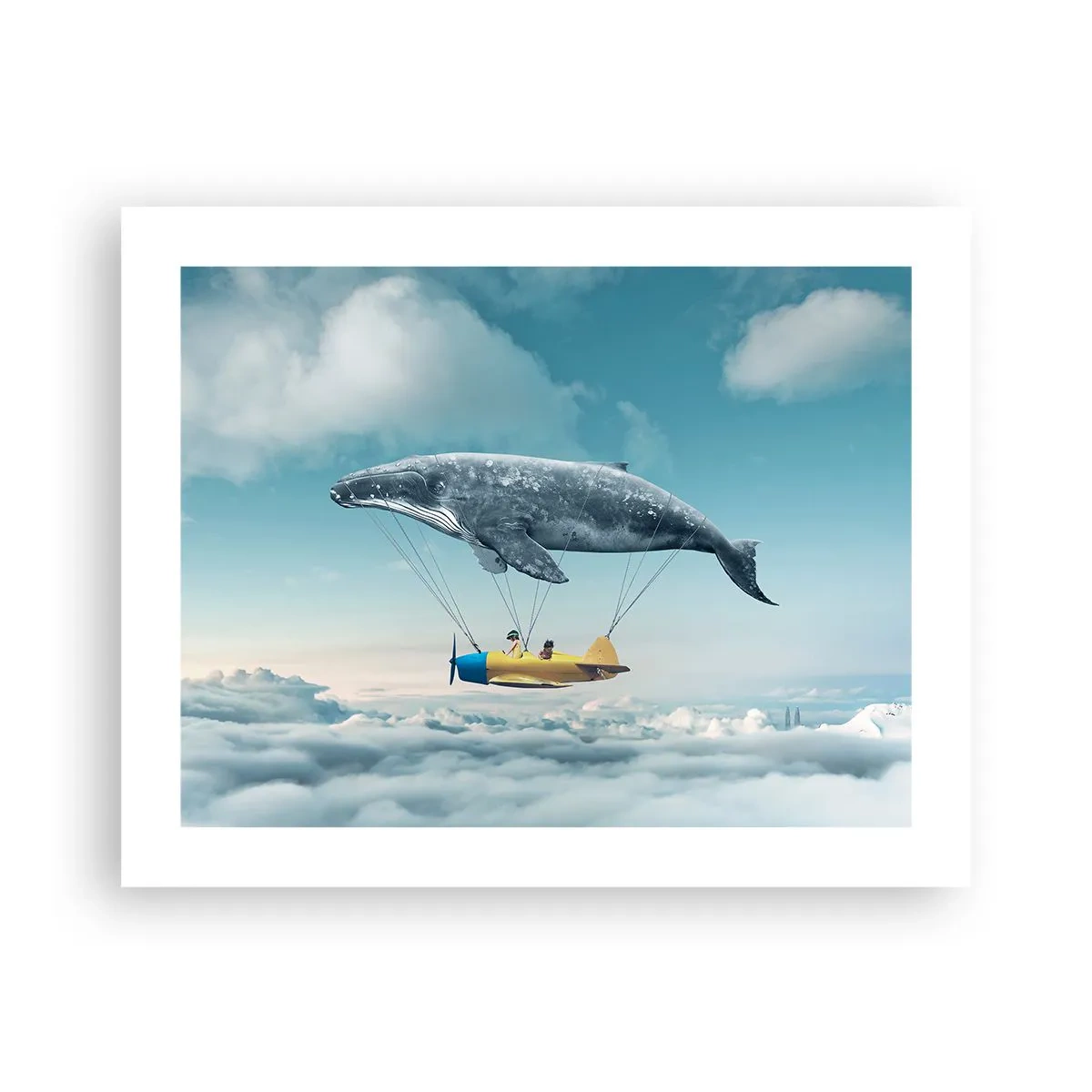 Plakát - Proč ne? - 50x40 cm