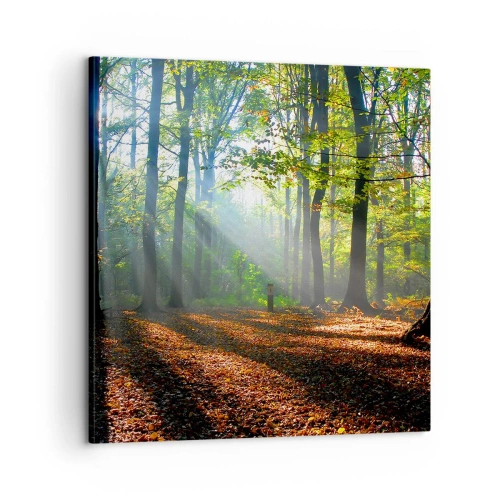 Obraz na plátně - Světla a stíny - 60x60 cm