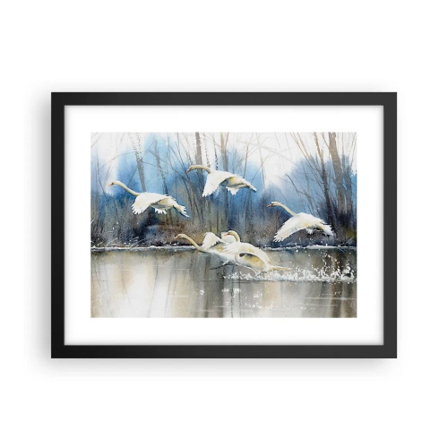 Plakát v černém rámu - Jako v povídce o divokých labutích - 40x30 cm