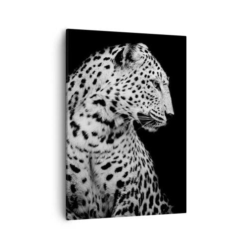 Obraz na plátně - Pravý profil perfektní! - 50x70 cm