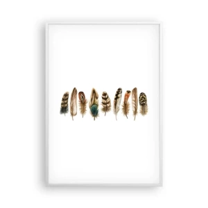 Plakát v bílém rámu - Opeřená variace - 70x100 cm