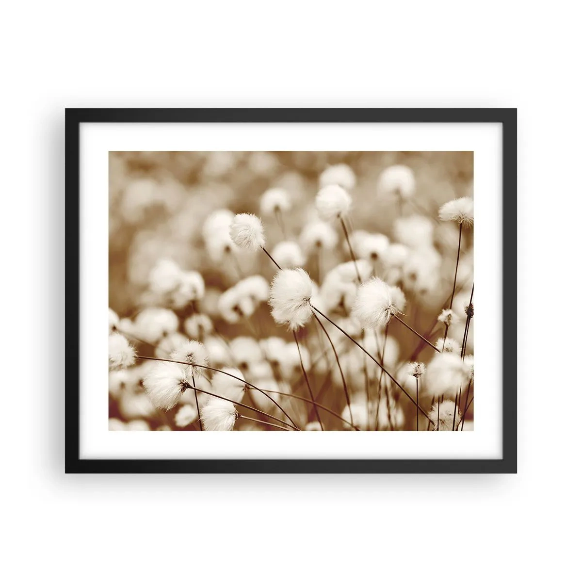 Plakát v černém rámu - Chlupatý lán - 50x40 cm