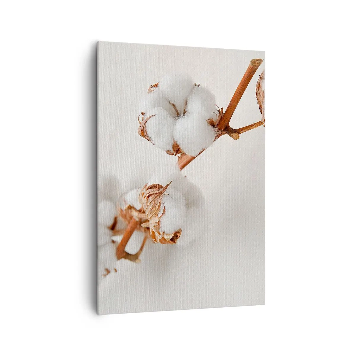 Obraz na plátně - Jenom objímat - 70x100 cm