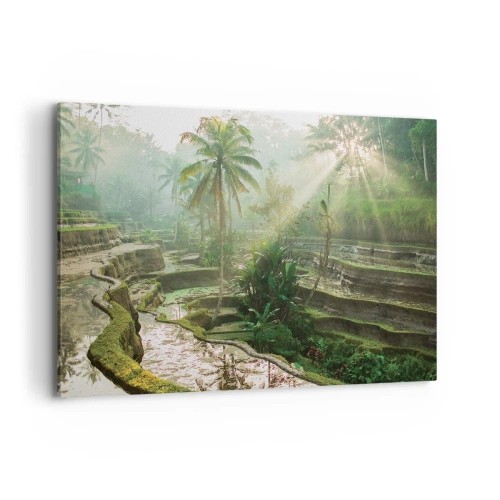 Obraz na plátně - Vyrůstát na slunci - 100x70 cm