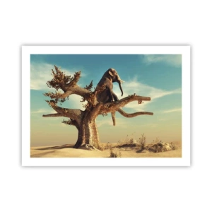 Plakát - Nový úhel pohledu - 70x50 cm