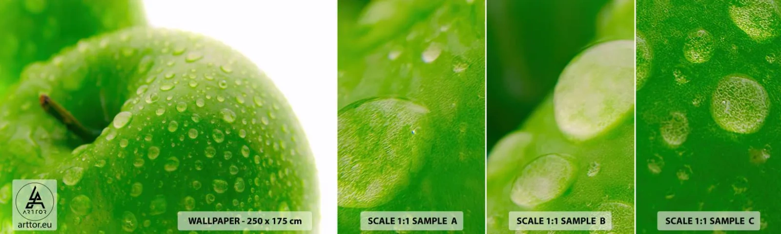 Fototapeta Vzorek Standard Eco - Zelená studená svěžest - Ovoce, Jablko, Gastronomie - 100x30 cm