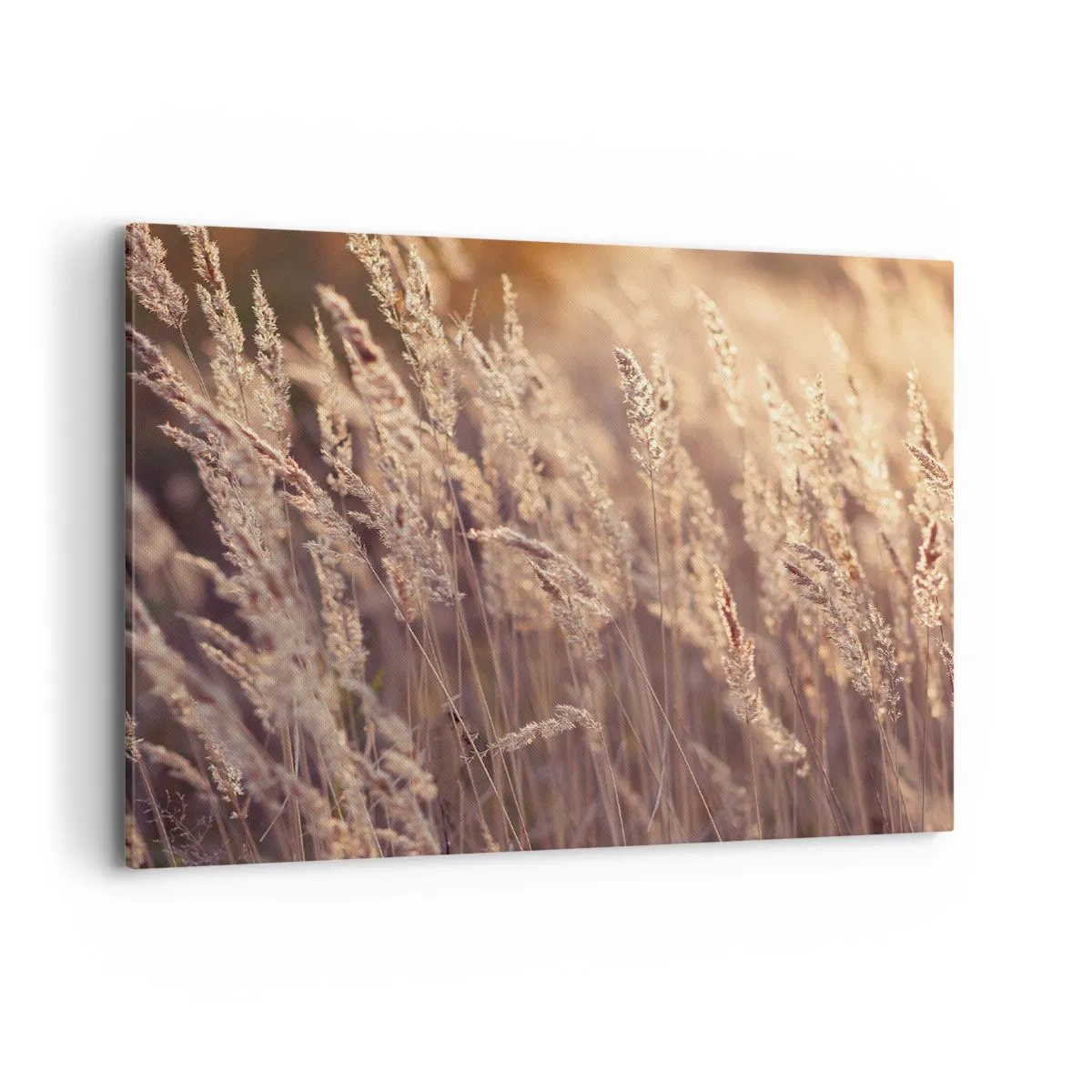 Obraz na plátně - Připraveni přivítat podzim - 100x70 cm