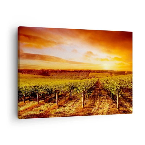 Obraz na plátně - Vinice při západu slunce s teplými tóny oblohy - 70x50cm - Jemně ovocné s tónem slunce - Moderní nástěnná dekorace do obývacího pokoje a ložnice ARTTOR