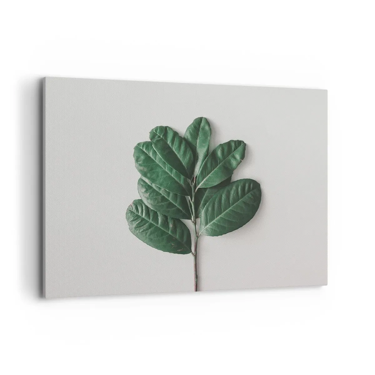 Obraz na plátně - Kresba samotné přírody - 100x70 cm