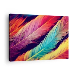 Obraz na plátně - Barevné peří v intenzivních barvách - 70x50cm - Opeřená duha - Moderní nástěnná dekorace do obývacího pokoje a ložnice ARTTOR
