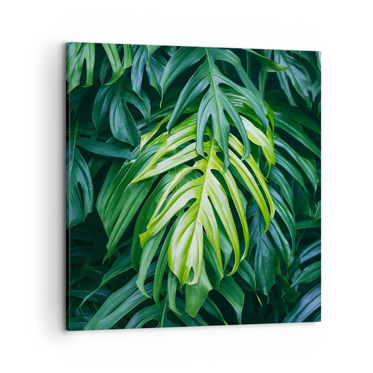 Obraz na plátně - Ponořit se do svěžesti - 50x50 cm