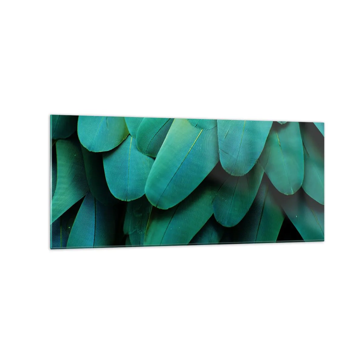 Obraz na skle - Přesnost papouščí povahy - 120x50 cm