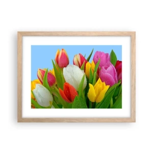 Plakát v rámu světlý dub - Květinová duha v kapkách rosy - 40x30 cm