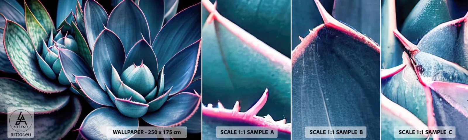 Fototapeta Vzorek Standard Eco - Vitální síla - Květiny, Botanika, Sukulenty - 100x30 cm