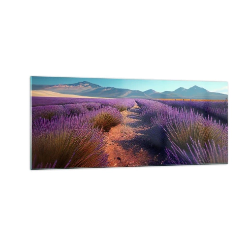 Obraz na skle - Voňavá pole - 100x40 cm