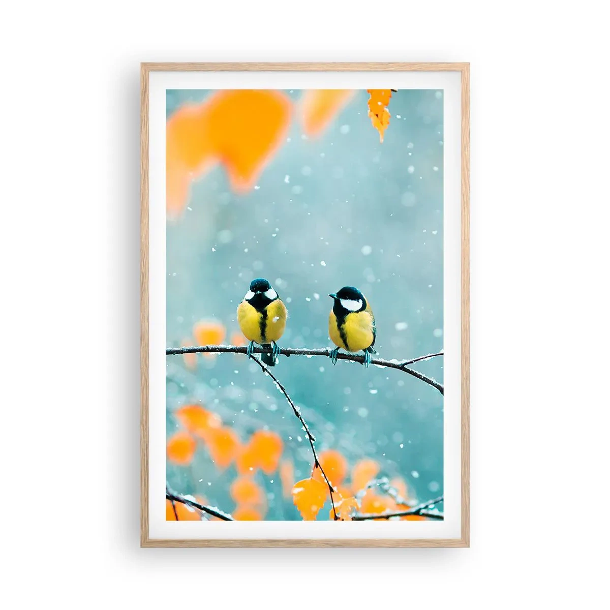 Plakát v rámu světlý dub - Ptačí drby - 61x91 cm