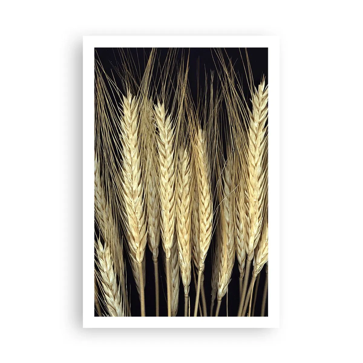 Plakát - Rustikální magie - 61x91 cm