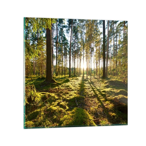 Obraz na skle - …Za sedmero lesy - 60x60 cm