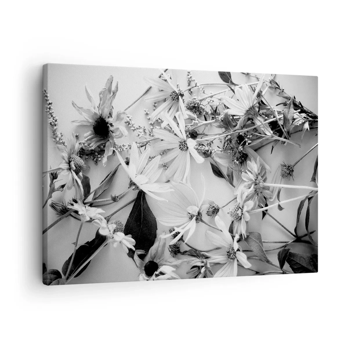 Obraz na plátně - Černobílé květinové aranžmá v decentním uměleckém stylu - 70x50cm - Květiny bez kytice - Moderní nástěnná dekorace do obývacího pokoje a ložnice ARTTOR