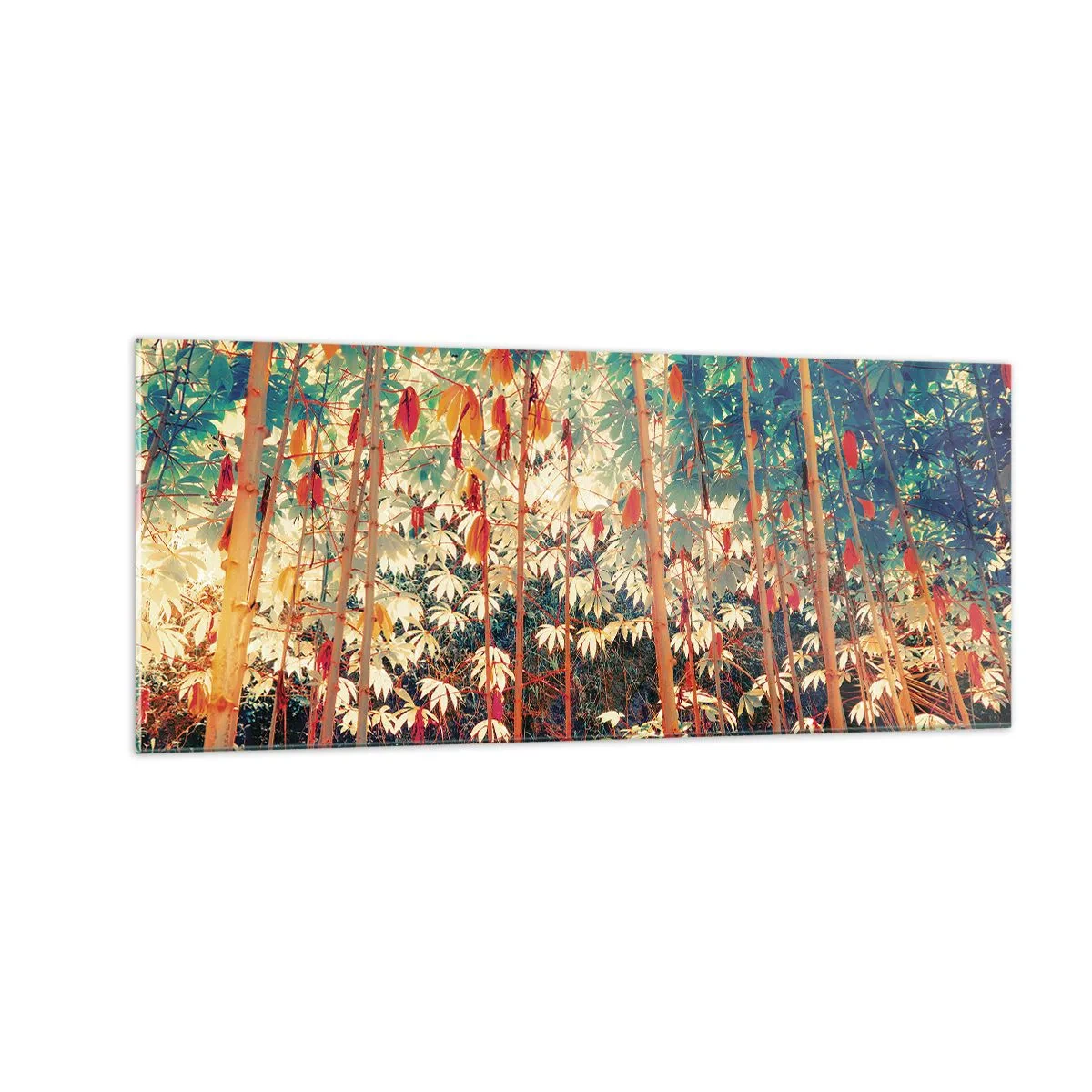 Obraz na skle - Tajný život listů - 100x40 cm