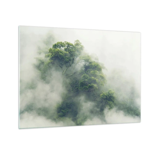 Obraz na skle - Stromy tropického lesa vynořující se z husté mlhy - 70x50cm - Zahalené mlhou - Moderní nástěnná dekorace do obývacího pokoje a ložnice ARTTOR