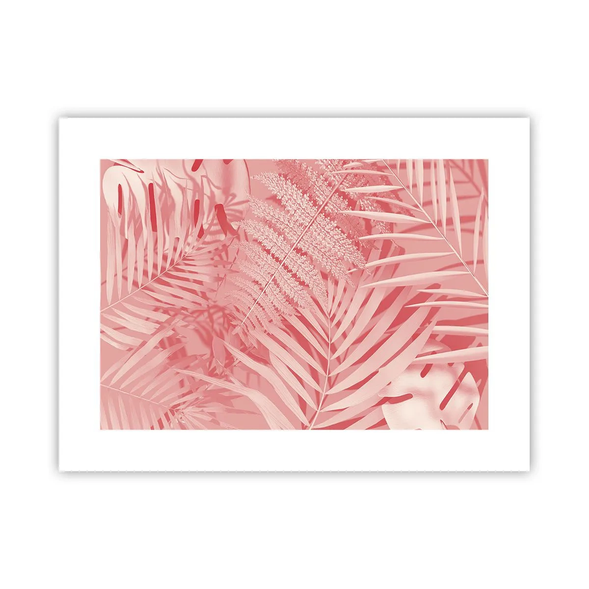 Plakát - Růžový koncept - 40x30 cm