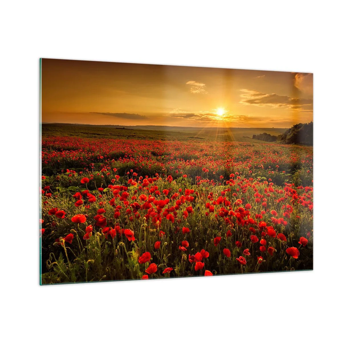 Obraz na skle - Mezi vlnami šumících luk, mezi záplavou květů - 100x70 cm