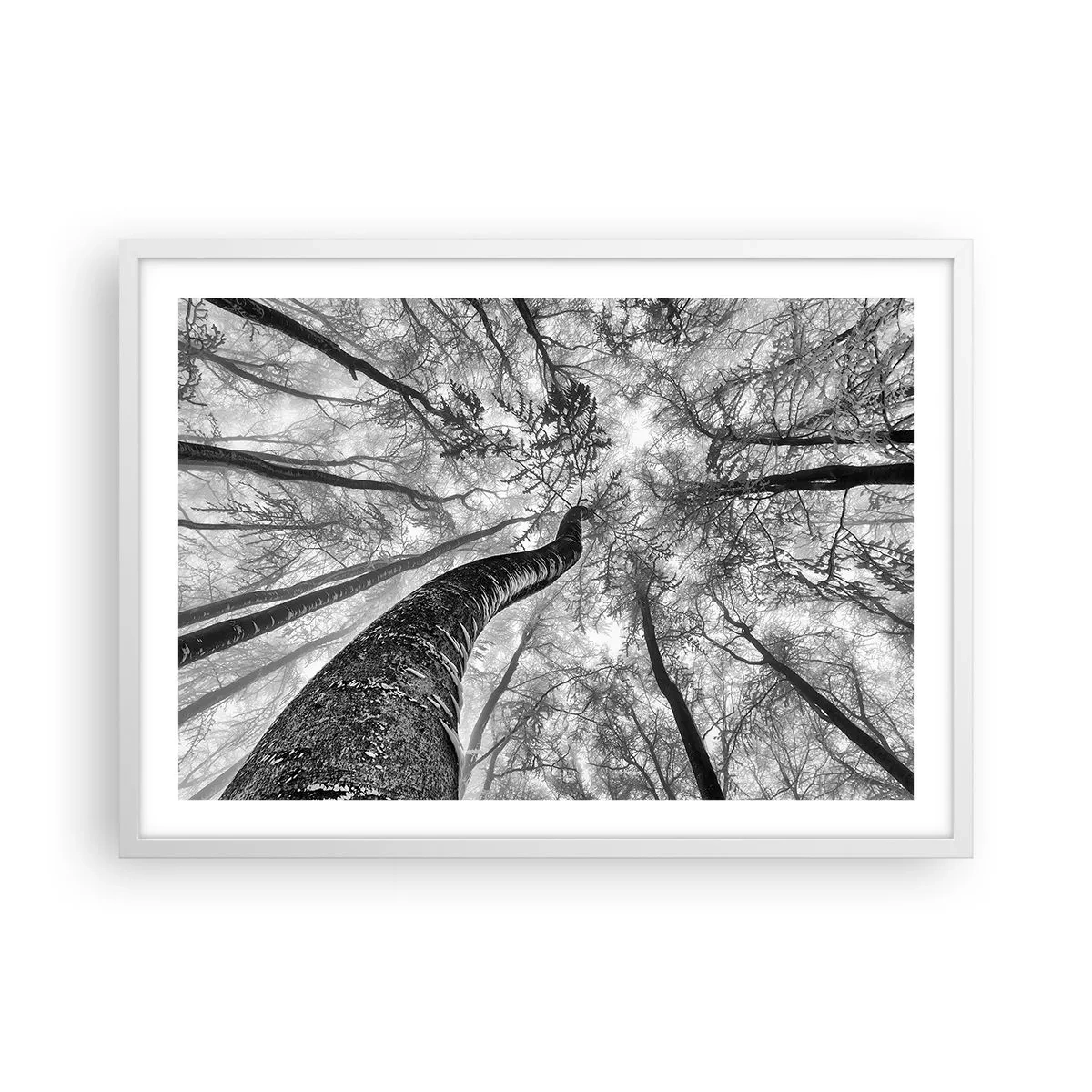 Plakát v bílém rámu - Závod ke světlu - 70x50 cm