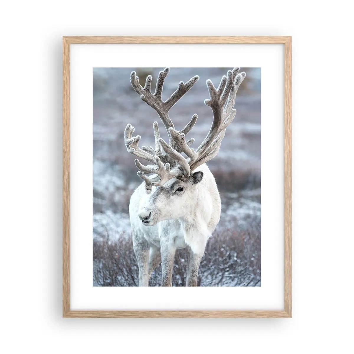 Plakát v rámu světlý dub - Sluneční portrét - 40x50 cm