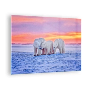 Obraz na skle - Tři lední medvědi na zasněženém pozadí při západu slunce - 70x50cm - Stačí rodinné teplo - Moderní nástěnná dekorace do obývacího pokoje a ložnice ARTTOR