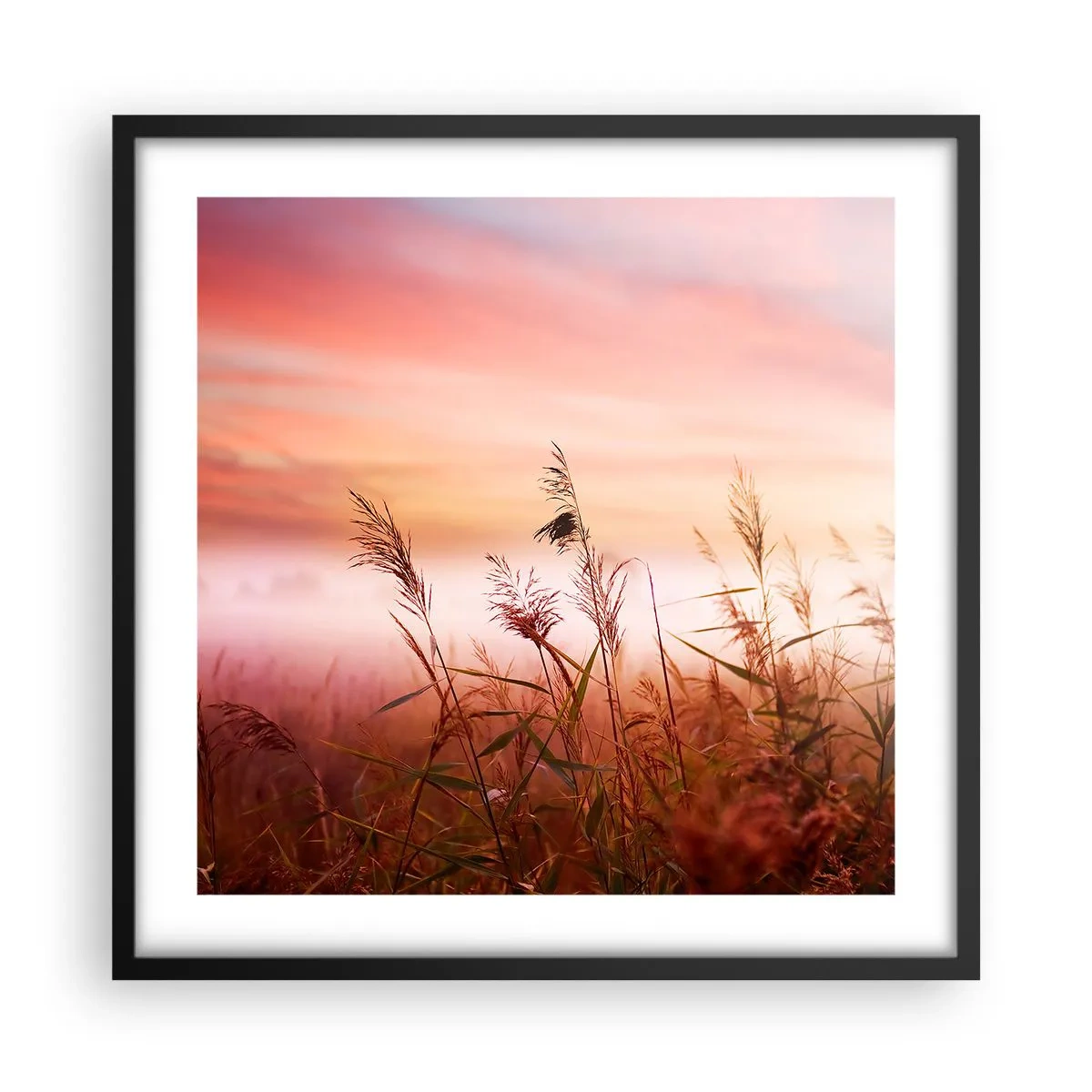 Plakát v černém rámu - Draci, pampelišky a vítr - 50x50 cm