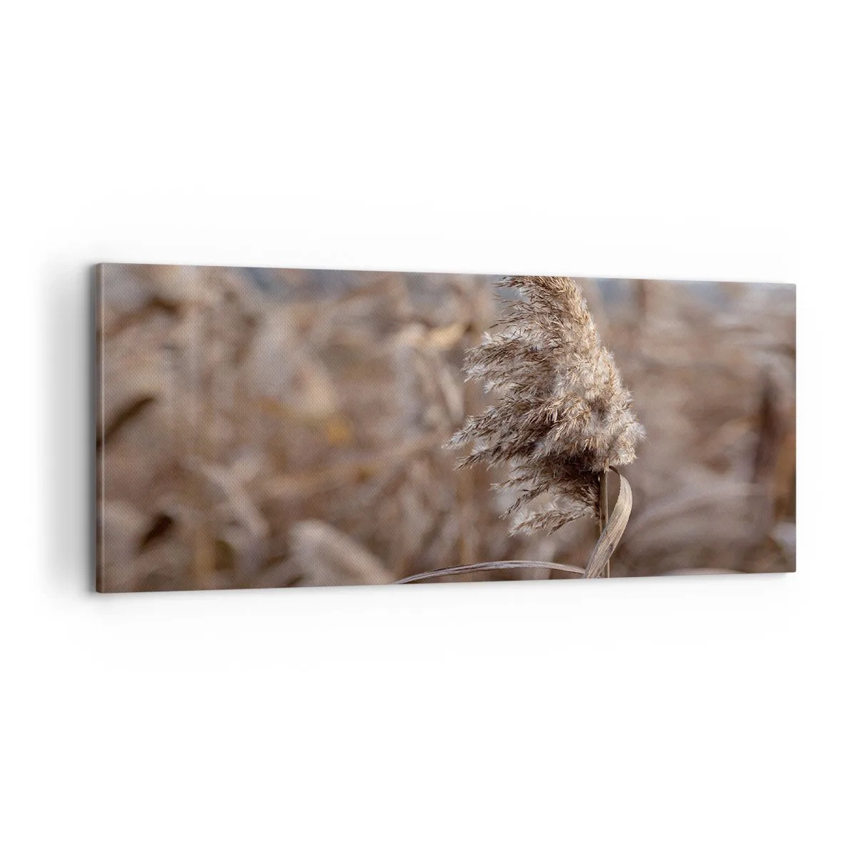 Obraz na plátně - Čas odletět s větrem - 100x40 cm