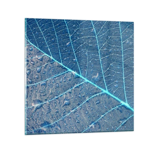 Obraz na skle - Život v modři - 70x70 cm