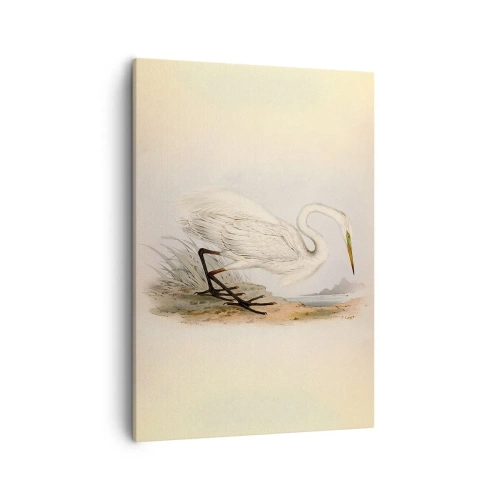 Obraz na plátně - Paní rákosin - 50x70 cm