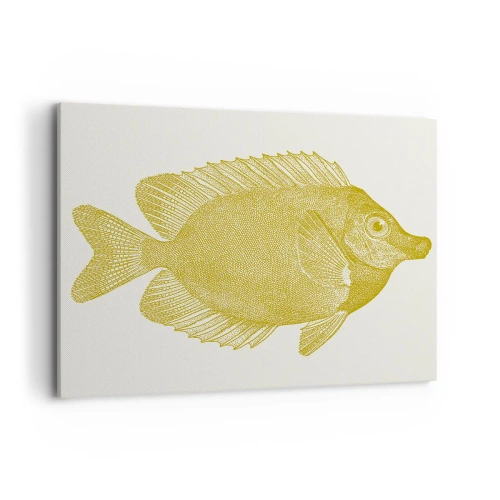 Obraz na plátně - Prostě ryba - 100x70 cm