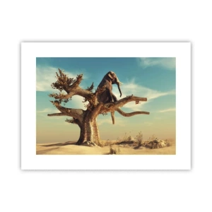 Plakát - Nový úhel pohledu - 40x30 cm