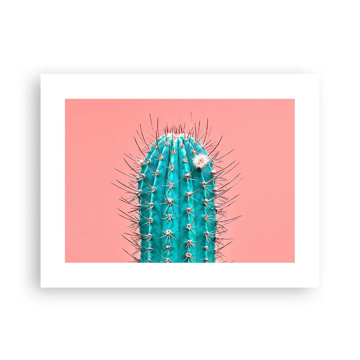 Plakát - Jen koukej - 40x30 cm