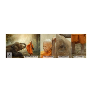 Vzor Fototapety Premium Canvas - Setkání na cestách - Asie, Slon, Mnich - 100x30 cm