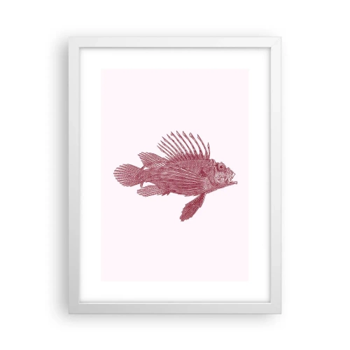 Plakát v bílém rámu - Obyvatelka exotických vod - 30x40 cm