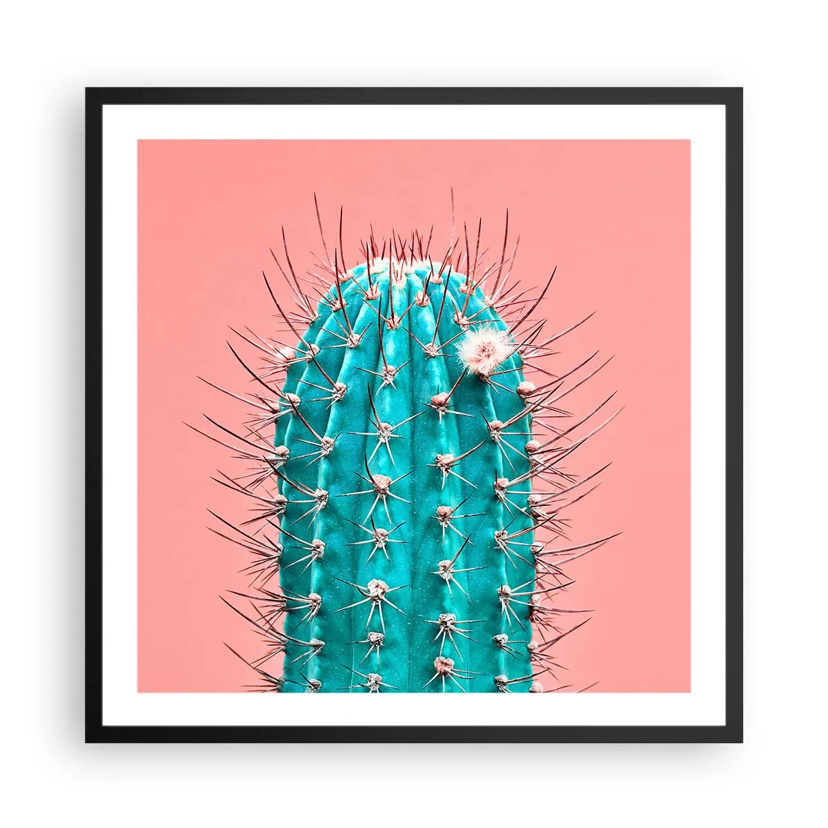 Plakát v černém rámu - Jen koukej - 60x60 cm