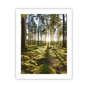 Plakát - …Za sedmero lesy - 40x50 cm