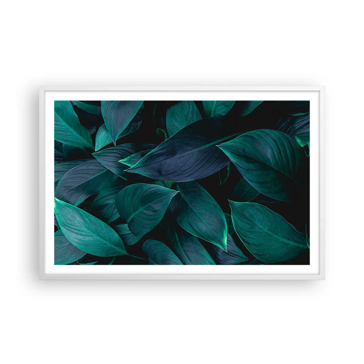 Plakát v bílém rámu - Zeleň sama o sobě - 91x61 cm