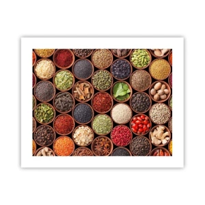 Plakát - Všechny chutě světa - 50x40 cm