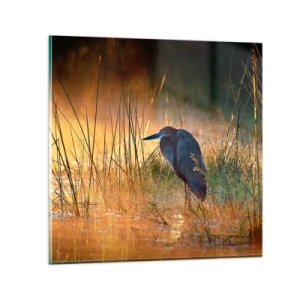 Obraz na skle - Ušetřete mě těch fotek - 40x40 cm