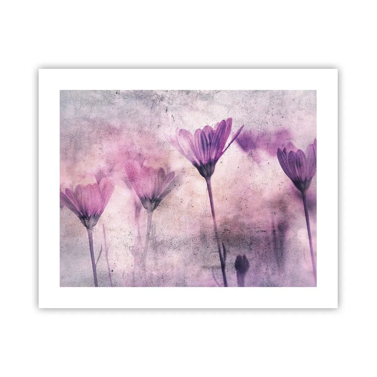 Plakát - Sen květin - 50x40 cm