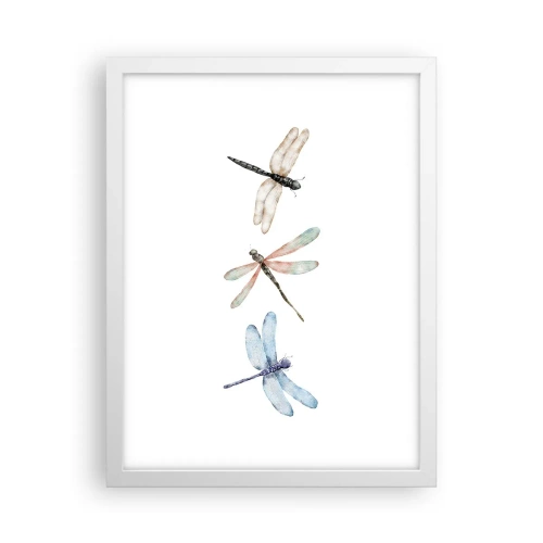 Plakát v bílém rámu - Beztížné vážky - 30x40 cm