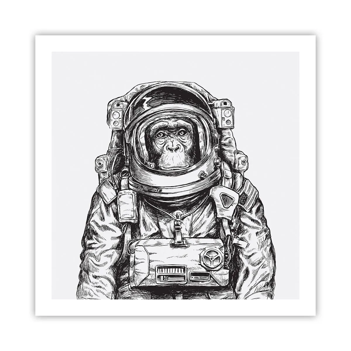 Plakát - Alternativní vývoj - 60x60 cm