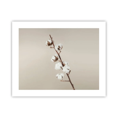 Plakát - U zdroje měkkosti - 50x40 cm