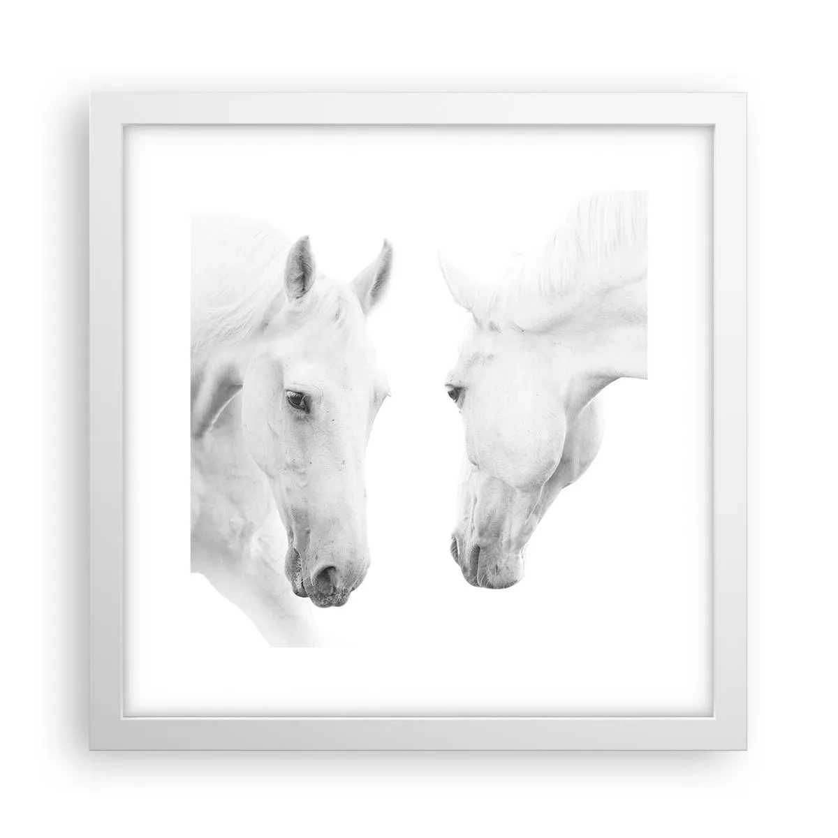 Plakát v bílém rámu - Je to přátelství…? - 30x30 cm