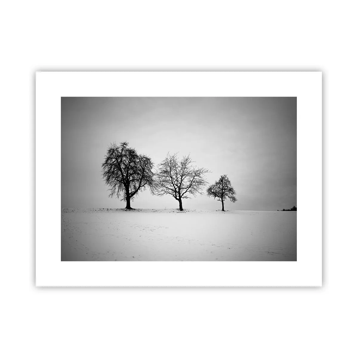 Plakát - O čem sní? - 40x30 cm